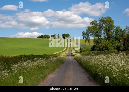 Britwell Hill, Oxfordshire, UK Stock Photo