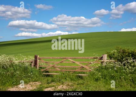 Britwell Hill, Oxfordshire, UK Stock Photo