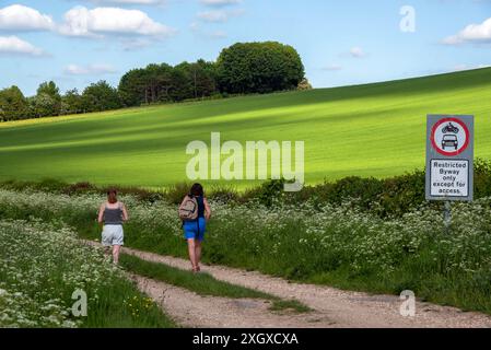 The Ridgeway, Britwell Hill, Oxfordshire, UK Stock Photo