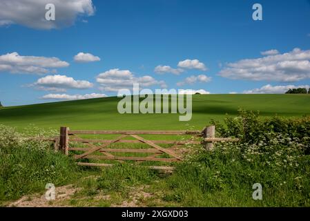 Britwell Hill, Oxfordshire, UK Stock Photo