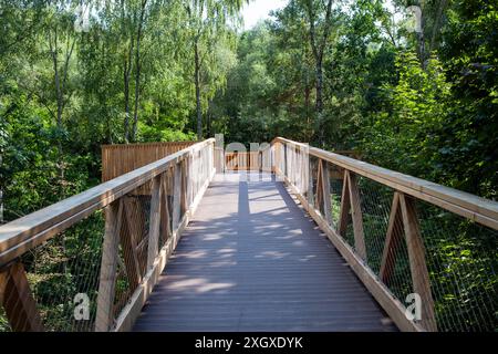 Wooden Walkway in Forest, Nature Rrail Stock Photo