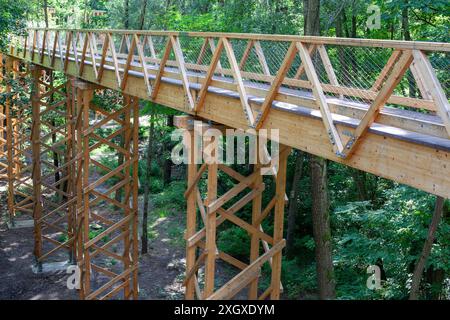 Elevated Wooden Walkway in Forest Stock Photo
