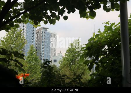 View of tall buildings in downtown Chicago from a park. Stock Photo