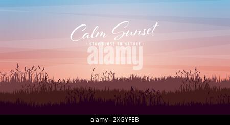 Meadow silhouettes with grass. Countryside, panoramic summer lawn rural landscape with herbs, weeds. Agriculture and farming. Summer sunset in nature Stock Vector