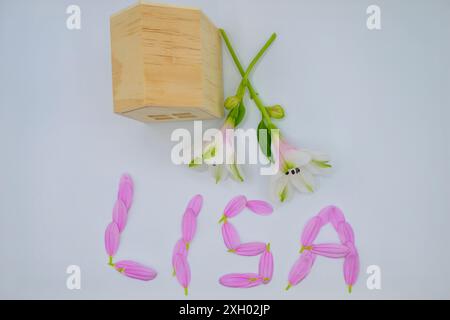 LISA, L I S A , in pink petals with two flowers Lifetime Individual Savings Account, investment, New Financial Year, with a wooden house Stock Photo