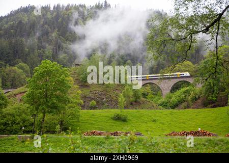 The Ravenna Gorge (German: Ravennaschlucht) is a gorge in the Black Forest in southwest Germany. It is a narrow side valley of the Höllental. Stock Photo