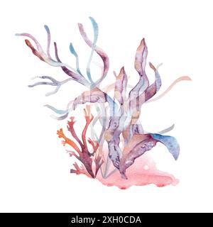 Drawing with underwater nature with seaweeds and coral reef on watercolor splash. Marine plants monochrome illustration painted in gradient of pink to Stock Photo