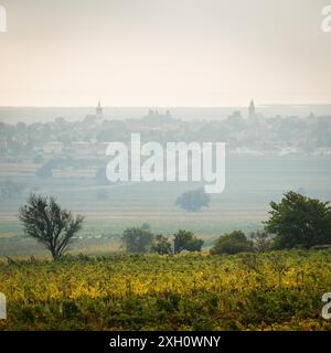 Village of Rust at Neusiedlersee with fog on the lake Stock Photo