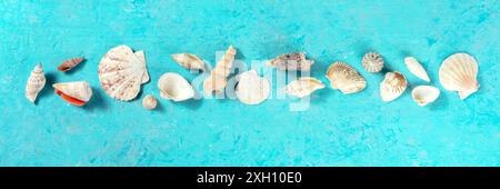 Sea shells panorama on a vibrant blue background, overhead flat lay shot Stock Photo