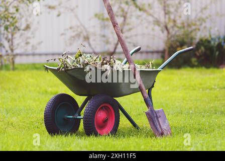 Wheelbarrow in the backyard, green lawn, shovel, uprooted weeds, garden work Stock Photo