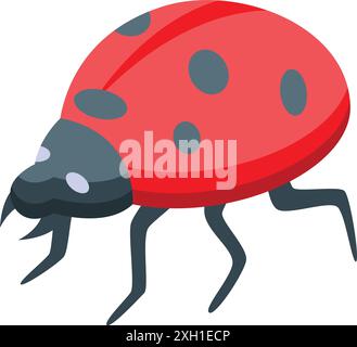 Red ladybug walking with black spots on its shell, an isometric icon of a cute little bug Stock Vector