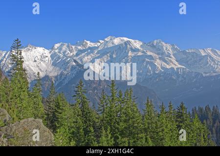 France, Haute-savoie department, Chamonix, the Mont-Blanc massif Stock Photo