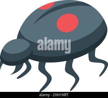 Black ladybug is crawling on six legs, with red spots on its back Stock Vector
