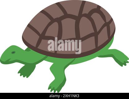 Green turtle walking, reptile living in the sea and on the land, wild animal Stock Vector