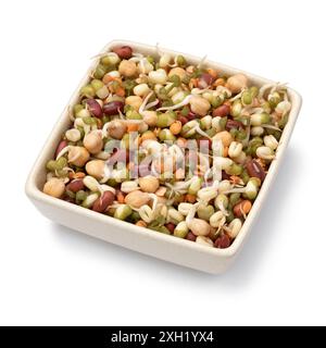 Bowl with a mixture of fresh colorful sprouts isolated on white background close up Stock Photo