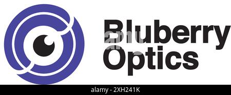 blueberry optical logo Stock Vector
