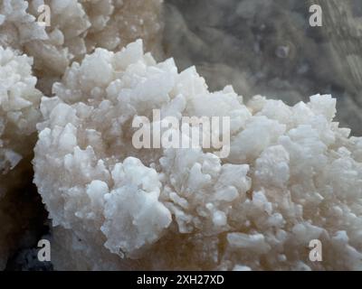 Detailed close-up image of natural salt crystals submerged in water, showcasing texture and formation. Stock Photo