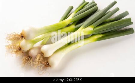 Gemüse, Frühlingszwiebel oder Lauchzwiebel, auch Winterzwiebel, Allium fistulosum Stock Photo