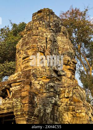 Ta Prohm Temple, a Mahayana Buddhist monastary built in the late 12th century for Khmer king Jayavarman VII, Cambodia. Stock Photo