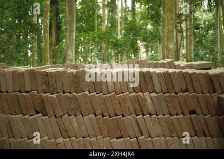 A stack of paving blocks brick with a backdrop of a tropical forest Stock Photo