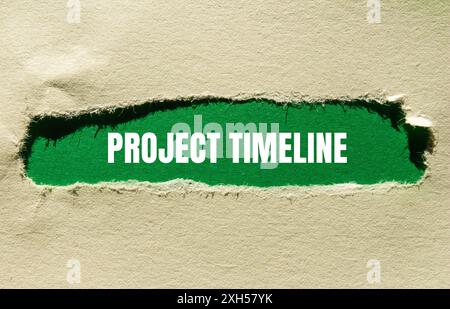 Project timeline message written on ripped torn paper with green background. Conceptual project timeline symbol. Copy space. Stock Photo