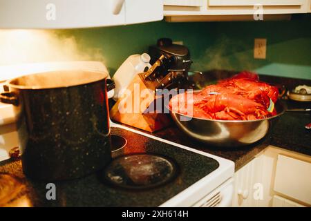 Steaming pot and bowl of lobsters in a kitchen setting. Stock Photo