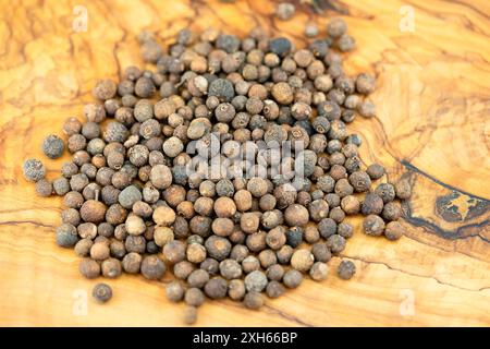 allspice, pimento (Pimenta dioica), dried fruits Stock Photo