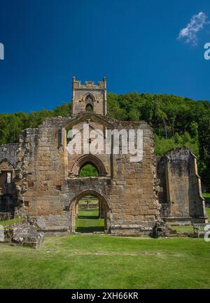 The ruins of Mount Grace Priory in the parish of East Harlsey, North Yorkshire, UK Stock Photo