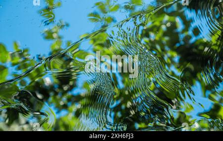 beautiful abstract image of nature reflected in water, creating a wavy and distorted effect. Ideal for backgrounds and artistic projects. Top view. Bl Stock Photo