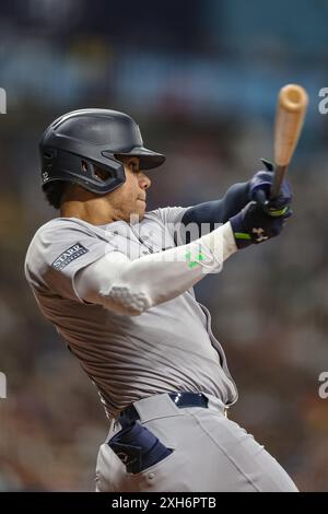 St. Petersburg, Florida, USA. 11th July, 2024. New York Yankees outfielder Juan Soto (22) fouls off a pitch during an MLB game against the Tampa Bay Rays on July 11, 2024 at Tropicana Field. The Rays beat the Yankees 5-4. (Credit Image: © Kim Hukari/ZUMA Press Wire) EDITORIAL USAGE ONLY! Not for Commercial USAGE! Stock Photo