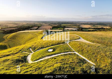 Uffington White Horse. Prehistoric Bronze Age chalk hill figure Oxfordshire, England. Close up over head, eye, ears and neck Stock Photo