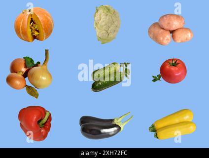 Advertising image of vegetables for the production of banners, billboards, booklets and flyers. Created with GIMP Stock Photo