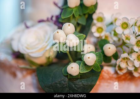 White Berries for floral bouquet Stock Photo