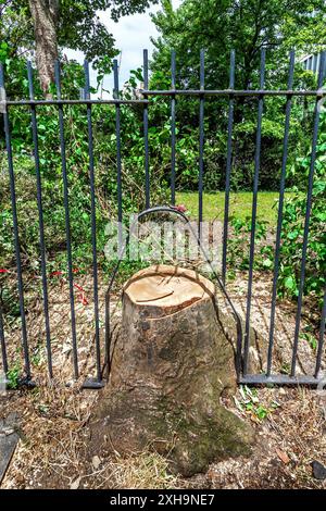New metal railings around freshly cut tree stump in the Square Yves Klein, Paris 75014, France. Stock Photo