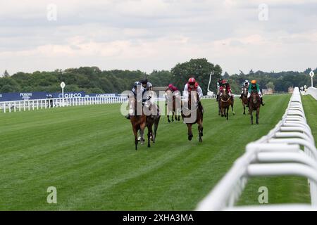 Ascot, Berkshire, UK. 12th July, 2024. The Foundation Developments Property Race Day Charity Race at Ascot Racecourse at the Summer Mile Property Raceday. Credit: Maureen McLean/Alamy Live News Stock Photo