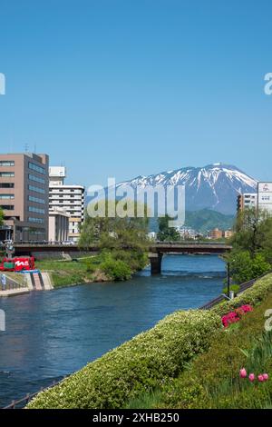 Capturing the serene beauty of Morioka from Kaiun Bridge: A stunning