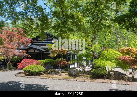 A stroll through Samurai Street in Kakunodate: Embracing the vibrant history and serene beauty of a bright, sunny spring day amidst cherry blossoms an Stock Photo