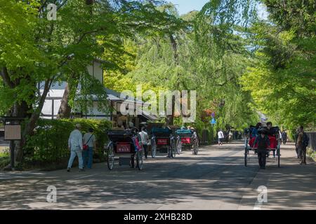 A stroll through Samurai Street in Kakunodate: Embracing the vibrant history and serene beauty of a bright, sunny spring day amidst cherry blossoms an Stock Photo