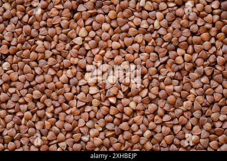 Buckwheat texture. Buckwheat-groats natural texture or background, close-up, high resolution. Stock Photo