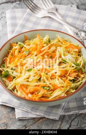Fresh salad of white cabbage with carrots dressed with olive oil close-up in a bowl on the table. Vertical Stock Photo