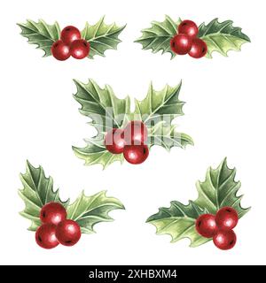 Holly with green leaves and red berries. Christmas set of symbol winter plants in vintage. Hand drawn watercolor illustration isolated. New year Stock Photo