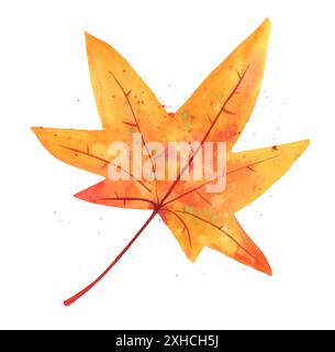 Autumn watercolor maple leaf, isolated on a white background, in yellow Stock Photo