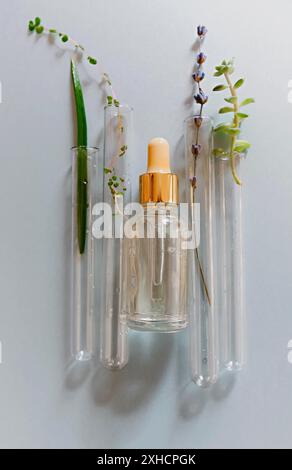 From above of assorted glass flasks and bottles arranged on table with fresh plants in modern laboratory Stock Photo