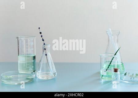 Assorted glass bottles and flasks arranged with green plants on table in modern lab Stock Photo