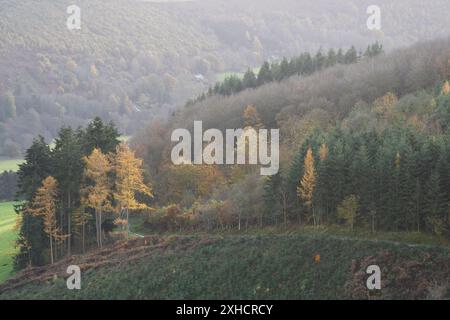 South Shropshire landscapes and woodland viewed from Burrow Hill, Hopesay, Clun Valley, Shropshire, UK Stock Photo