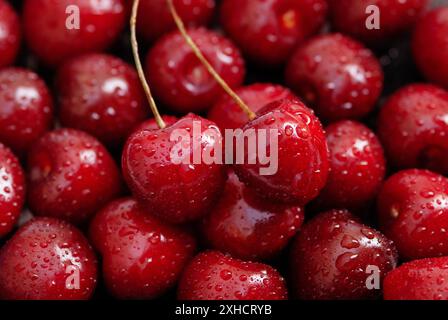Bright red cherry fruit background, two cherries on top Stock Photo