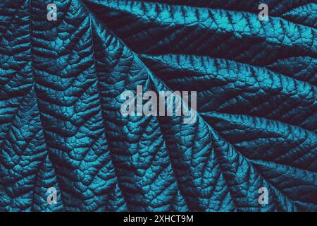 Blue green toned leaf botanical background, trendy abstract floral texture Stock Photo