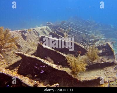 An old shipwreck on the seabed, with overgrown coral and some plants still clinging to it. Wreck of the Benwood. Dive site John Pennekamp Coral Reef Stock Photo