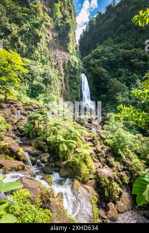 Trafalgar falls, waterfall in the forest of Dominica, Caribbean. Stock Photo