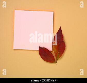 blank gift card with dry branches and autumn leaves. Kraft memo pad, empty paper. Stock Photo